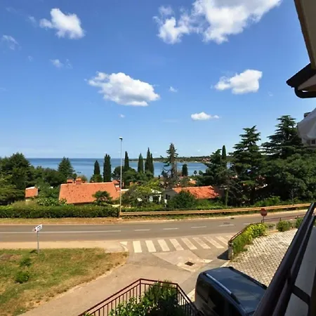 Maria Dajla Studio